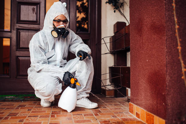 Reliable Cockroach Control contractor in Port Arthur, TX by Nex Pest Control
