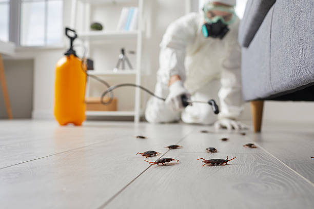 Trusted Cockroach Control service in Port Arthur, TX - Nex Pest Control